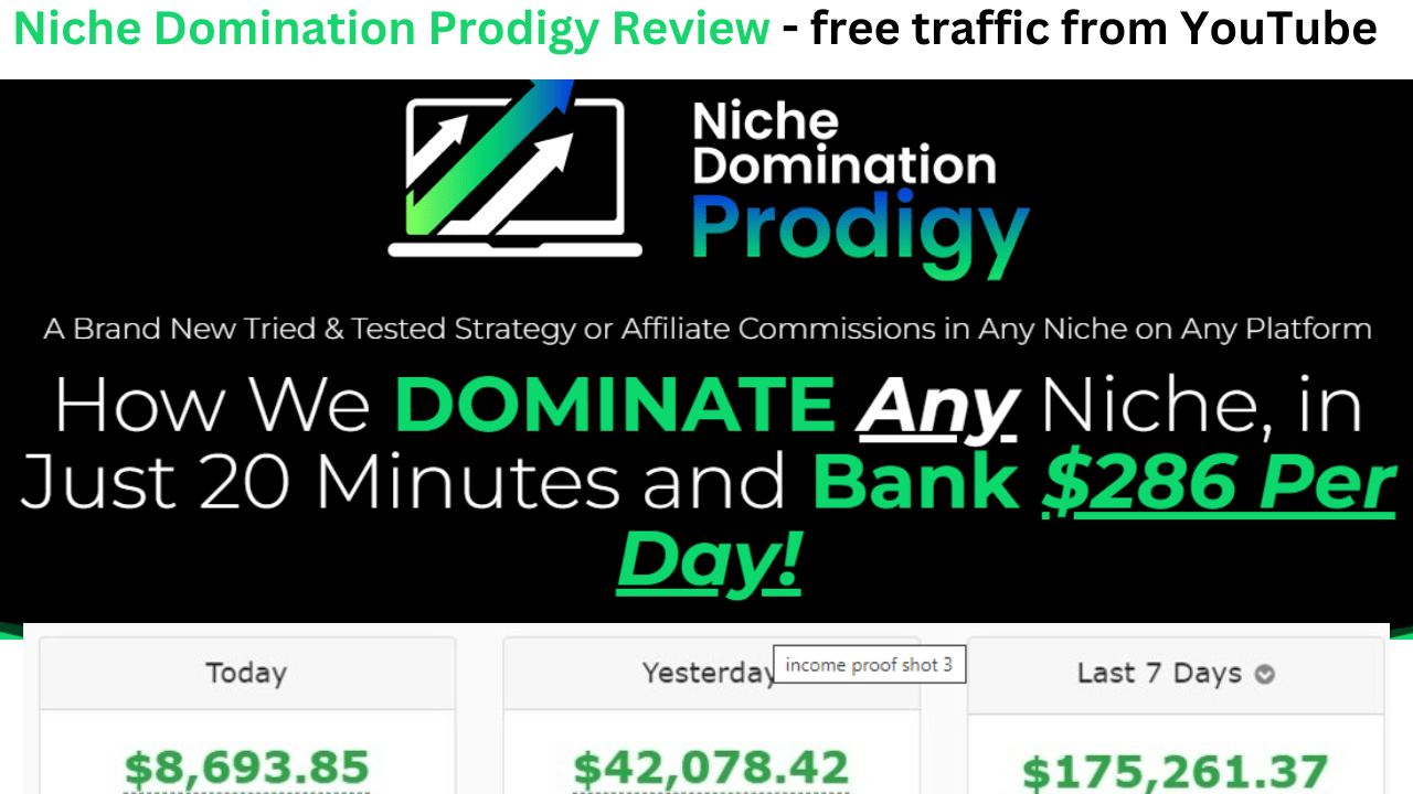 Niche Domination Prodigy Review -  free traffic from YouTube 
